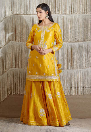 Shyam Narayan Prasad-Mustard Embroidered Sharara Set-INDIASPOPUP.COM