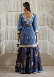 Shyam Narayan Prasad-Navy Blue Embroidered Kurta Skirt Set-INDIASPOPUP.COM