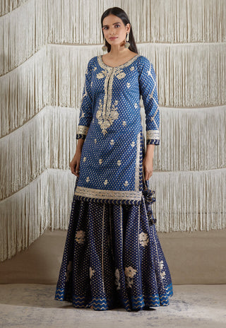 Shyam Narayan Prasad-Navy Blue Embroidered Kurta Skirt Set-INDIASPOPUP.COM