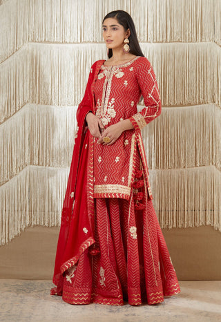 Shyam Narayan Prasad-Red Maroon Embroidered Sharara Set-INDIASPOPUP.COM