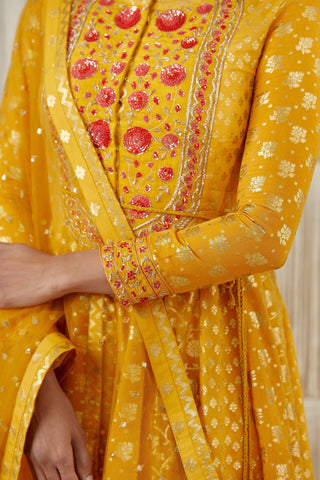 Shyam Narayan Prasad-Mustard Embroidered Anarkali Set-INDIASPOPUP.COM