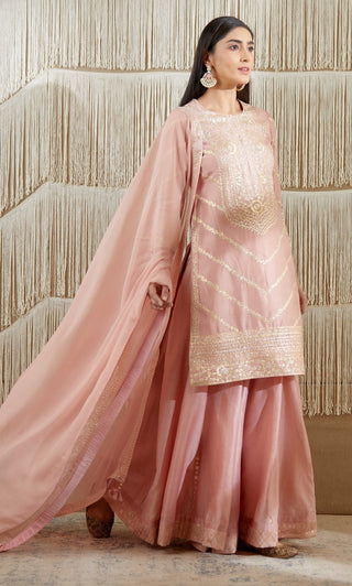 Shyam Narayan Prasad-Powder Pink Embroidered Sharara Set-INDIASPOPUP.COM