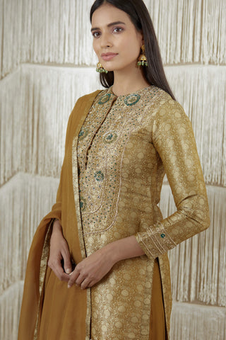 Shyam Narayan Prasad-Dark Olive Embroidered Sharara Set-INDIASPOPUP.COM