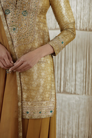 Shyam Narayan Prasad-Dark Olive Embroidered Sharara Set-INDIASPOPUP.COM