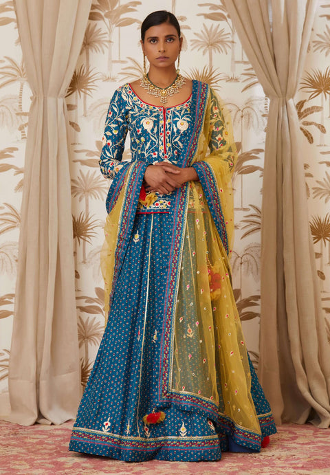 Shyam Narayan Prasad-Blue Embroidered Kurta Skirt Set-INDIASPOPUP.COM