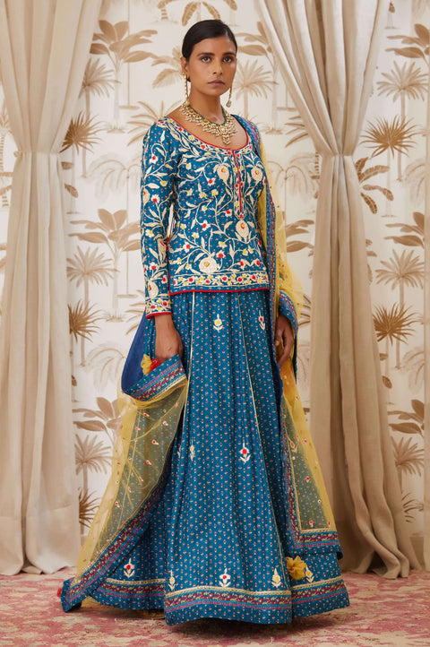 Shyam Narayan Prasad-Blue Embroidered Kurta Skirt Set-INDIASPOPUP.COM