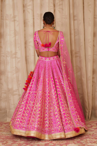 Shyam Narayan Prasad-Pink Embroidered Lehenga Set-INDIASPOPUP.COM