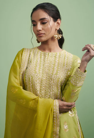 Shyam Narayan Prasad-Green Embroidered Sharara Set-INDIASPOPUP.COM