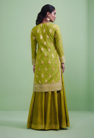 Shyam Narayan Prasad-Green Embroidered Sharara Set-INDIASPOPUP.COM