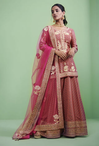 Shyam Narayan Prasad-Pink Embroidered Sharara Set-INDIASPOPUP.COM
