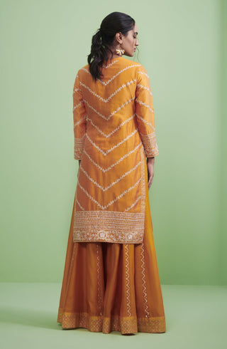 Shyam Narayan Prasad-Orange Embroidered Lehenga Set-INDIASPOPUP.COM