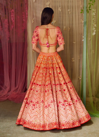 Shyam Narayan Prasad-Pink Orange Embroidered Lehenga Set-INDIASPOPUP.COM