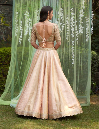 Shyam Narayan Prasad-Old Rose Pink Embroidered Lehenga Set-INDIASPOPUP.COM