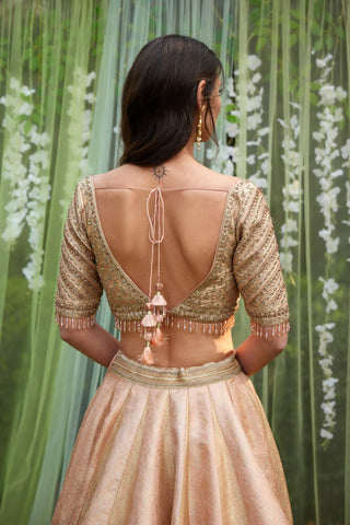 Shyam Narayan Prasad-Old Rose Pink Embroidered Lehenga Set-INDIASPOPUP.COM