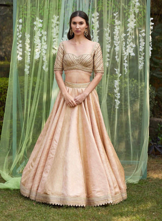 Shyam Narayan Prasad-Old Rose Pink Embroidered Lehenga Set-INDIASPOPUP.COM