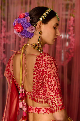 Shyam Narayan Prasad-Multicolor Pink Embroidered Lehenga Set-INDIASPOPUP.COM