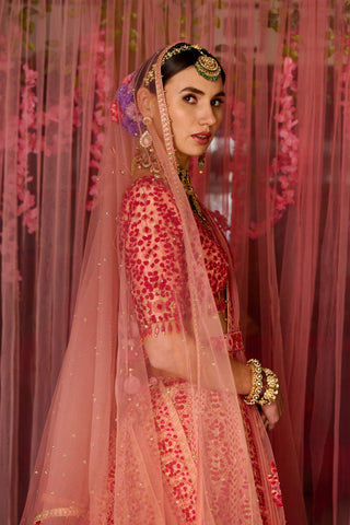 Shyam Narayan Prasad-Multicolor Pink Embroidered Lehenga Set-INDIASPOPUP.COM
