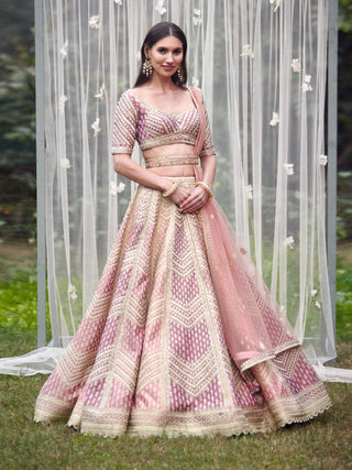 Shyam Narayan Prasad-Neutral Pink Embroidered Lehenga Set-INDIASPOPUP.COM
