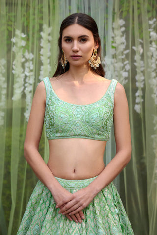 Shyam Narayan Prasad-Sea Green Embroidered Lehenga Set-INDIASPOPUP.COM