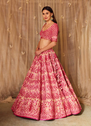 Shyam Narayan Prasad-Peach Pink Embroidered Lehenga Set-INDIASPOPUP.COM