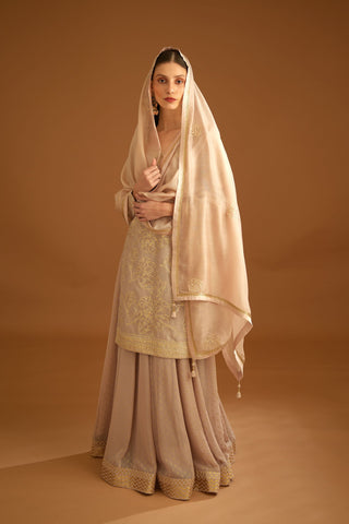 Shyam Narayan Prasad-Neutral Embroidered Sharara Set-INDIASPOPUP.COM