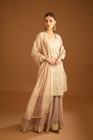 Shyam Narayan Prasad-Neutral Embroidered Sharara Set-INDIASPOPUP.COM