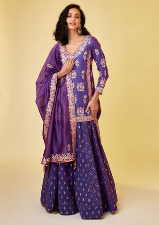 Shyam Narayan Prasad-Purple Pink Kurti And Skirt Set-INDIASPOPUP.COM