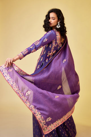 Shyam Narayan Prasad-Purple Pink Kurti And Skirt Set-INDIASPOPUP.COM