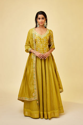 Shyam Narayan Prasad-Olive Green Short Kurti And Skirt Set-INDIASPOPUP.COM