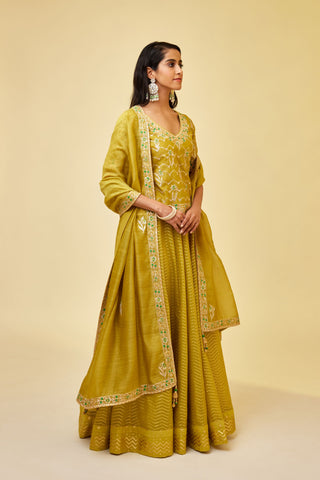Shyam Narayan Prasad-Olive Green Short Kurti And Skirt Set-INDIASPOPUP.COM