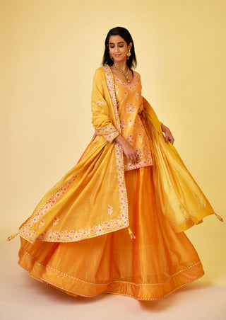 Shyam Narayan Prasad-Saffron Orange Kurti And Skirt Set-INDIASPOPUP.COM