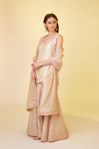 Shyam Narayan Prasad-Angora White Embroidered Sharara Set-INDIASPOPUP.COM