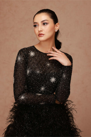 Shriya Som-Black Crystal Embellished Feather Gown-INDIASPOPUP.COM