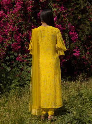 Seema Thukral-Yellow Embellished Kurta Set-INDIASPOPUP.COM