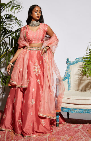 Sva By Sonam And Paras Modi-Pink Lehenga Set-INDIASPOPUP.COM