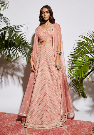 Sva By Sonam And Paras Modi-Light Pink Embellished Lehenga Set-INDIASPOPUP.COM