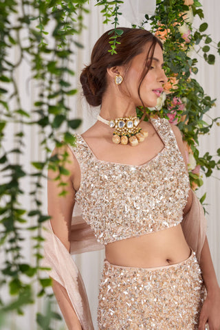 Nidhika Shekhar-Soft Pink Fish Cut Lehenga Set-INDIASPOPUP.COM