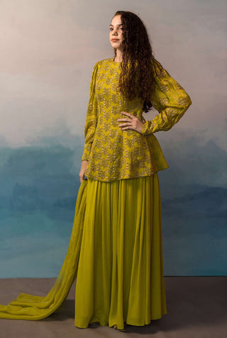 Ease-Lime Embroidered Sharara Set-INDIASPOPUP.COM