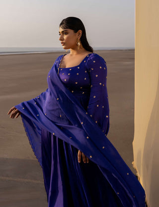 Ease-Royal Blue Floral Embroidered Anarkali With Dupatta-INDIASPOPUP.COM