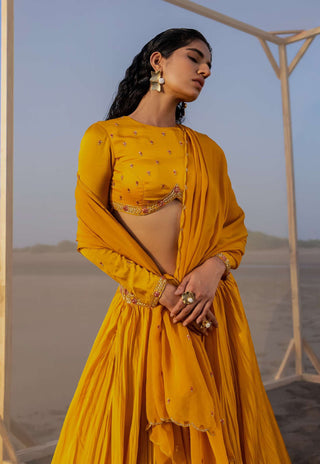 Ease-Mango Yellow Pleated Lehenga Set-INDIASPOPUP.COM