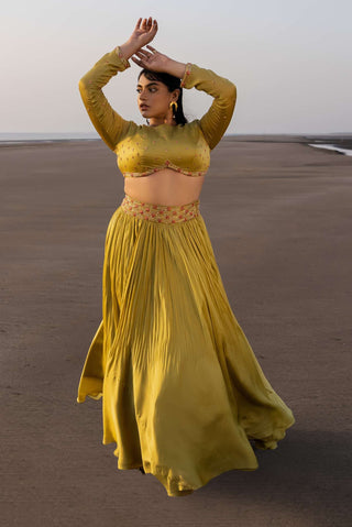 Ease-Olive Green Pleated Lehenga Set-INDIASPOPUP.COM