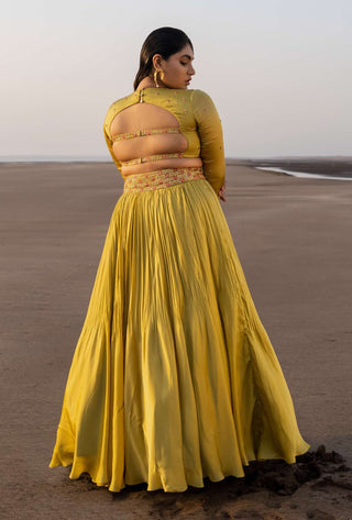Ease-Olive Green Pleated Lehenga Set-INDIASPOPUP.COM