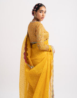 Vvani By Vani Vats-Yellow Mirror Border Saree With Blouse-INDIASPOPUP.COM