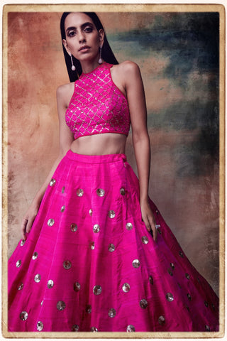 Vvani By Vani Vats-Fuchsia Lehenga Skirt With Blouse-INDIASPOPUP.COM