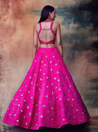 Vvani By Vani Vats-Fuchsia Lehenga Skirt With Blouse-INDIASPOPUP.COM