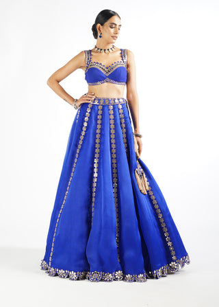 Vvani By Vani Vats-Royal Blue Flower Linear Lehenga Set-INDIASPOPUP.COM