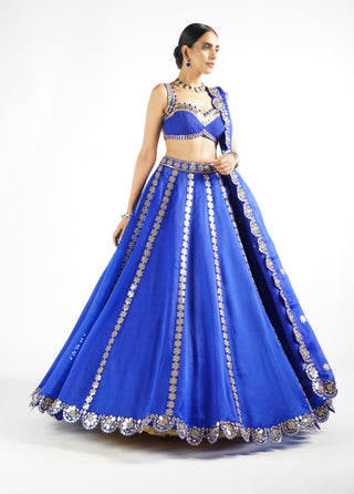 Vvani By Vani Vats-Royal Blue Flower Linear Lehenga Set-INDIASPOPUP.COM