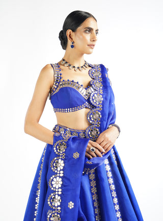 Vvani By Vani Vats-Royal Blue Flower Linear Lehenga Set-INDIASPOPUP.COM