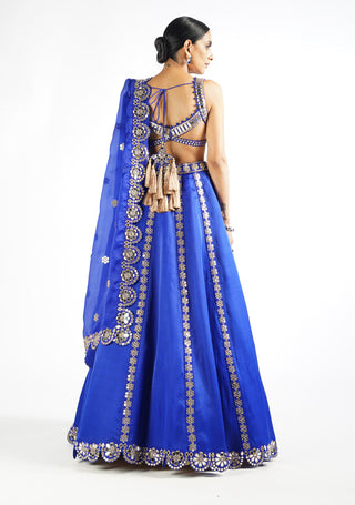 Vvani By Vani Vats-Royal Blue Flower Linear Lehenga Set-INDIASPOPUP.COM