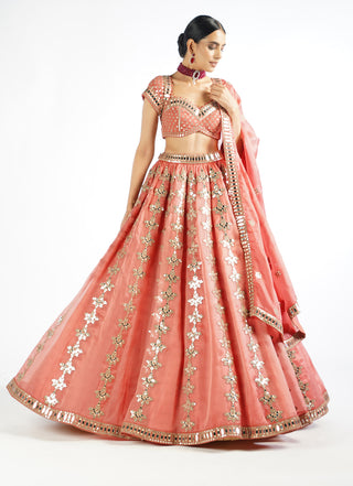 Vvani By Vani Vats-Mellow Rose Chandelier Drop Lehenga Set-INDIASPOPUP.COM